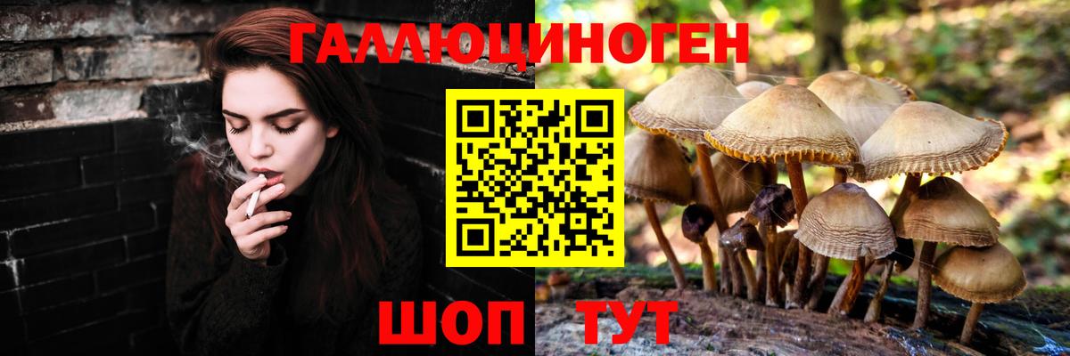 Псилоцибиновые грибы Magic Shrooms  Вход с VPN  Дубна 