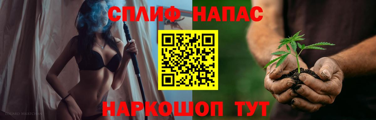 Бошки марихуана сатива Дубна